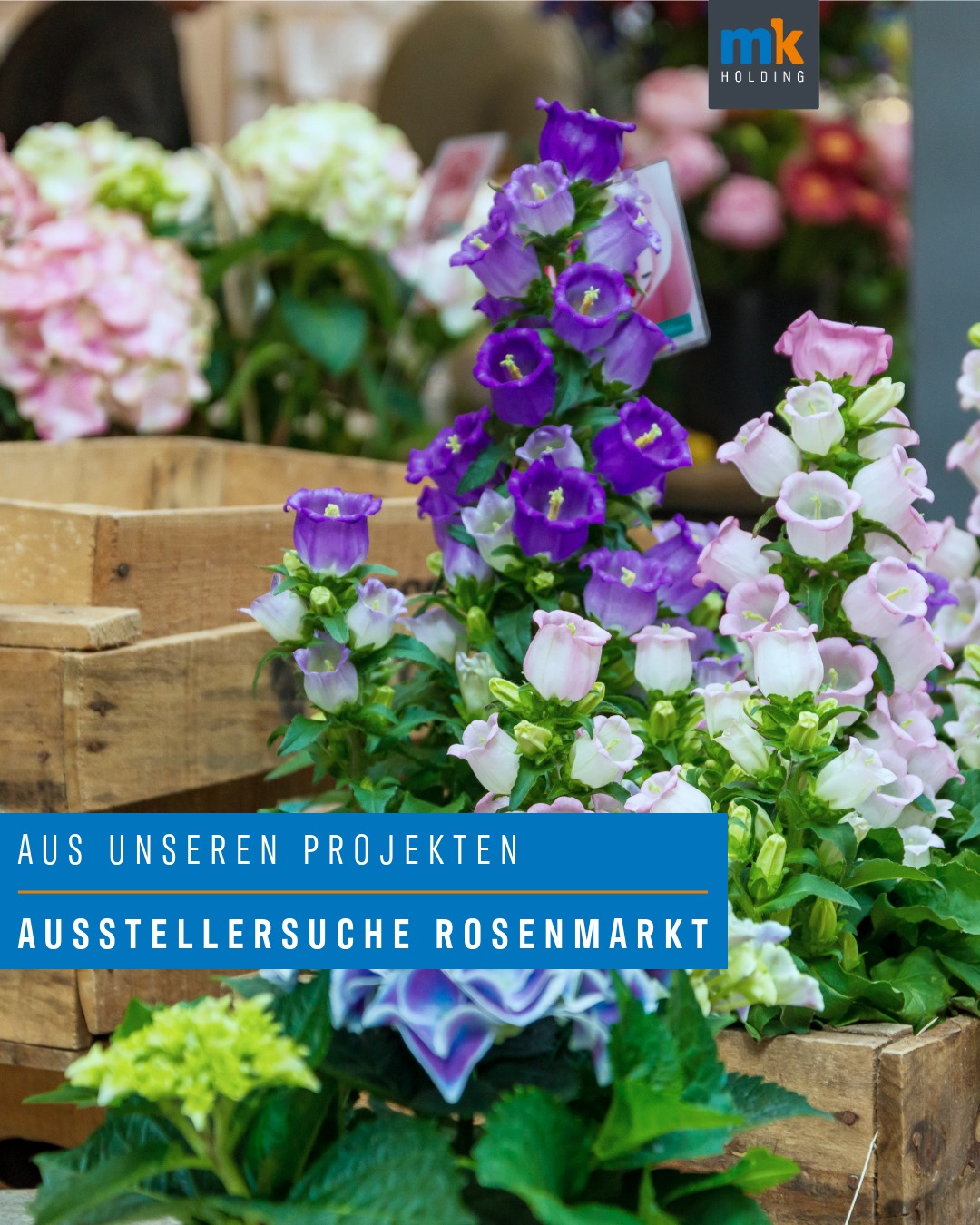 Für das Steinfurther Rosenfest 2026 – eines der traditionsreichsten Rosenfeste Deutschlands – starten wir bereits jetzt mit der Planung des Marktbereichs. Dafür suchen wir Ausstellerinnen und Aussteller, die das Fest mit ihren besonderen Angeboten bereichern möchten.
Gesucht werden:
🌿 Kunsthandwerk
🌹 Anbieter mit Rosen- oder Gartenbezug
🏺 Händler regionaler Produkte aus der Wetterau
🛍️ Allgemeine Marktstände, die zum Charakter des Rosenfestes passen
Ihr habt Interesse, Teil dieses einzigartigen Events zu werden, oder kennt jemanden, der perfekt passen würde?
Dann freuen wir uns über eure Nachricht an: info@holding-mk.de
Wir sind gespannt auf spannende, kreative und regionale Angebote!
#ausunserenprojekten #steinfurtherrosenfest #rosenfest2026 #ausstellergesucht #marktstand #wetterau #eventagentur #veranstaltung